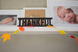 GRATEFUL THANKFUL BLESSED Stackable  Wood Cutouts