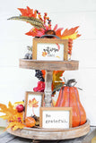 AUTUMN Vibes + Be GRATEFUL + Orange LEAF Signs Set of 3 | Fall Tier Tray Signs | Sign Set Autumn