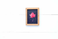 Hello FALL + PUMPKINS, Apples Hayrides + Autumn LEAF Signs Set of 3